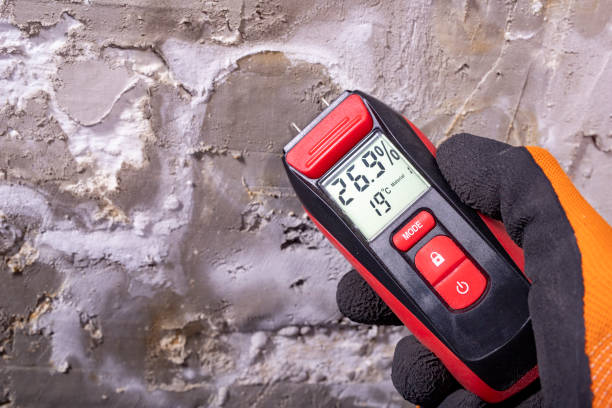 Best Mold Cleaning Services  in Lyons, NJ