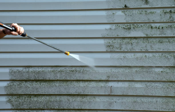 Best Attic Mold Removal  in Lyons, NJ