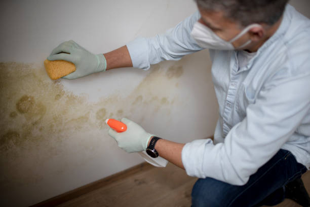 Best Residential Mold Removal  in Lyons, NJ