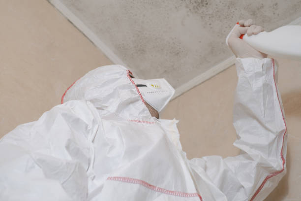 Best Emergency Mold Removal  in Lyons, NJ