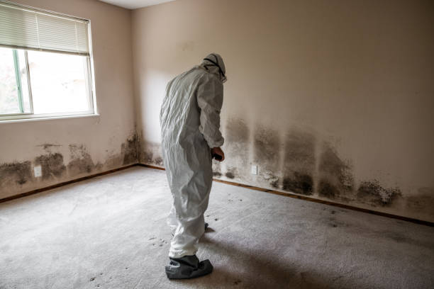 Best Mold Testing  in Lyons, NJ