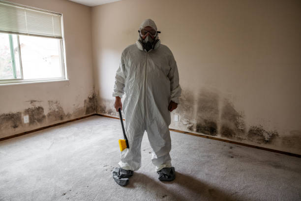 Best Professional Mold Removal  in Lyons, NJ
