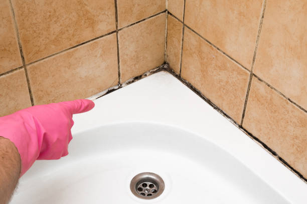 Best Certified Mold Removal  in Lyons, NJ